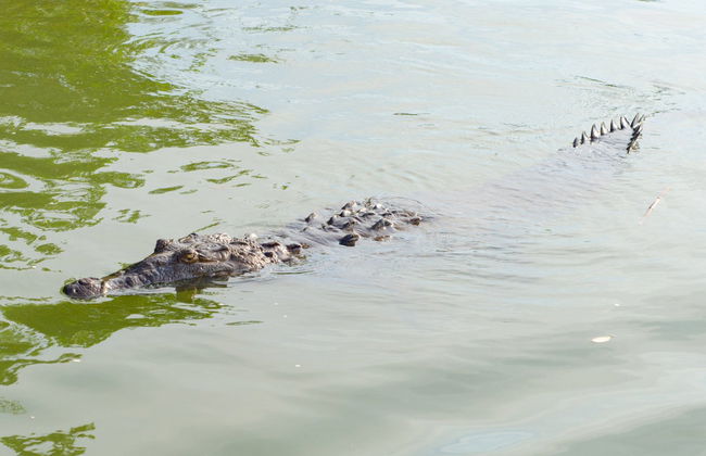 Excursión a Río Negro y Cataratas YS - Foto 3