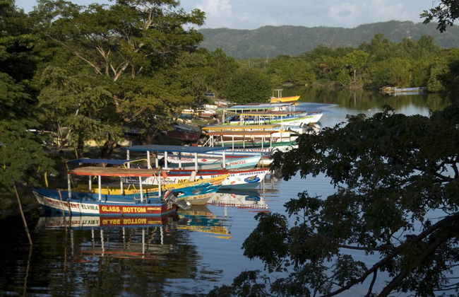 Excursión a Río Negro y Cataratas YS - Foto 1