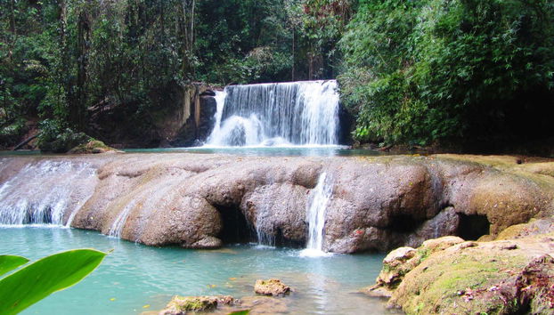 Excursión a Río Negro y Cataratas YS - Foto 2