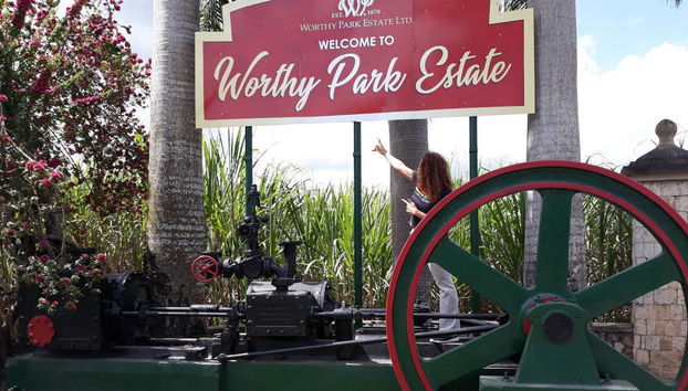 Tour al Museo Bob Marley y visita a una destilería de ron - Foto 4