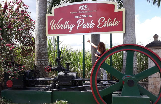 Tour al Museo Bob Marley y visita a una destilería de ron - Foto 4