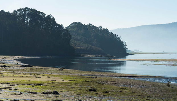 Giro in barca sulla Ría de Vigo + Degustazione di cozze - Foto 3