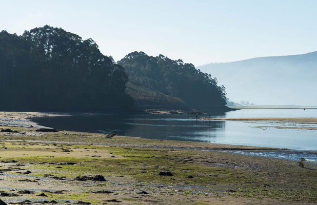 Paseo en barco por la Ría de Vigo + Degustación de mejillones - Foto 3