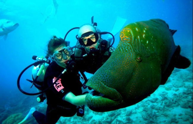 Buceo en Kusadasi - Foto 2
