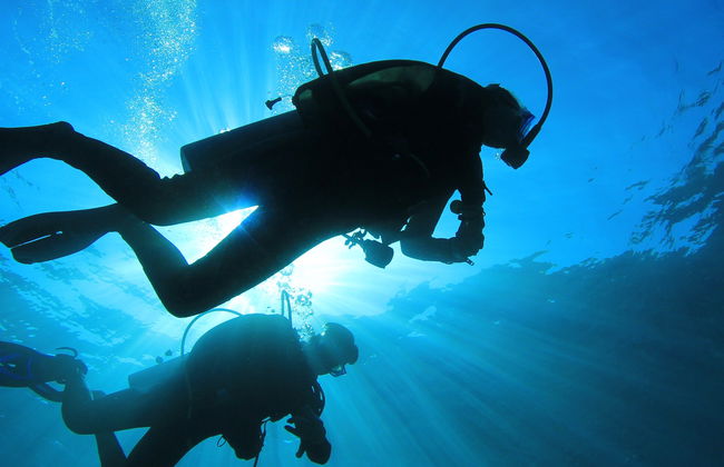 Buceo en Kusadasi - Foto 4