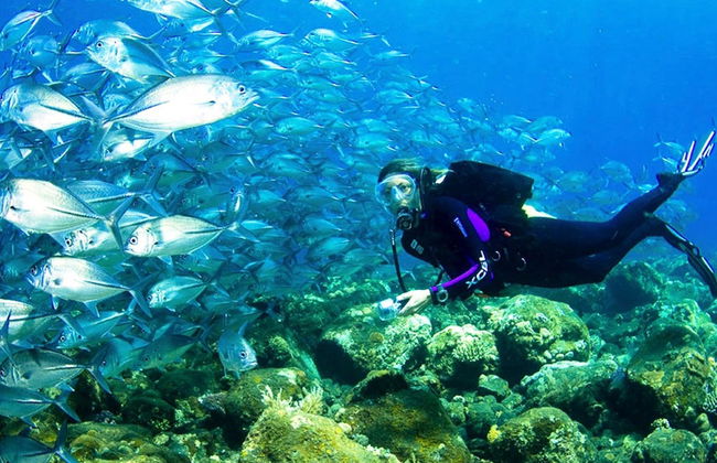 Buceo en Kusadasi - Foto 3