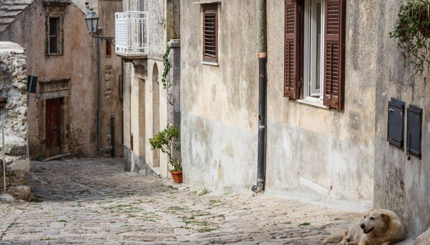 Erice Day Trip - Foto 3