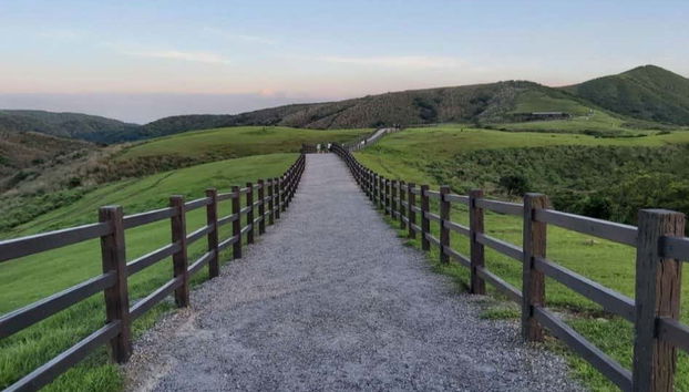 Excursion à Beitou et Yangmingshan - Photo 2
