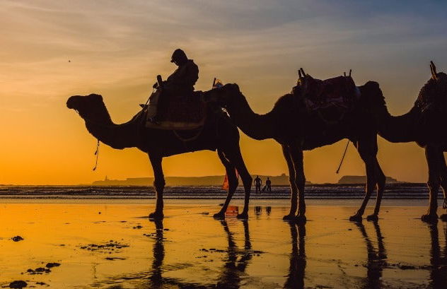 Sunset Camel Ride with Dinner in Agadir - Photo 6
