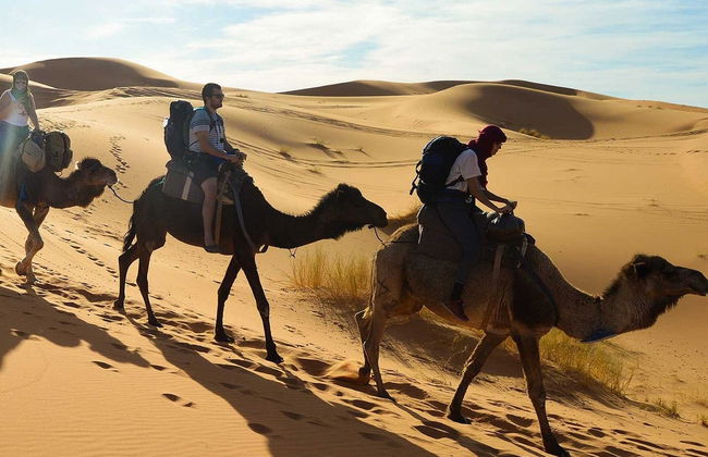 Sunset Camel Ride with Dinner in Agadir - Photo 2