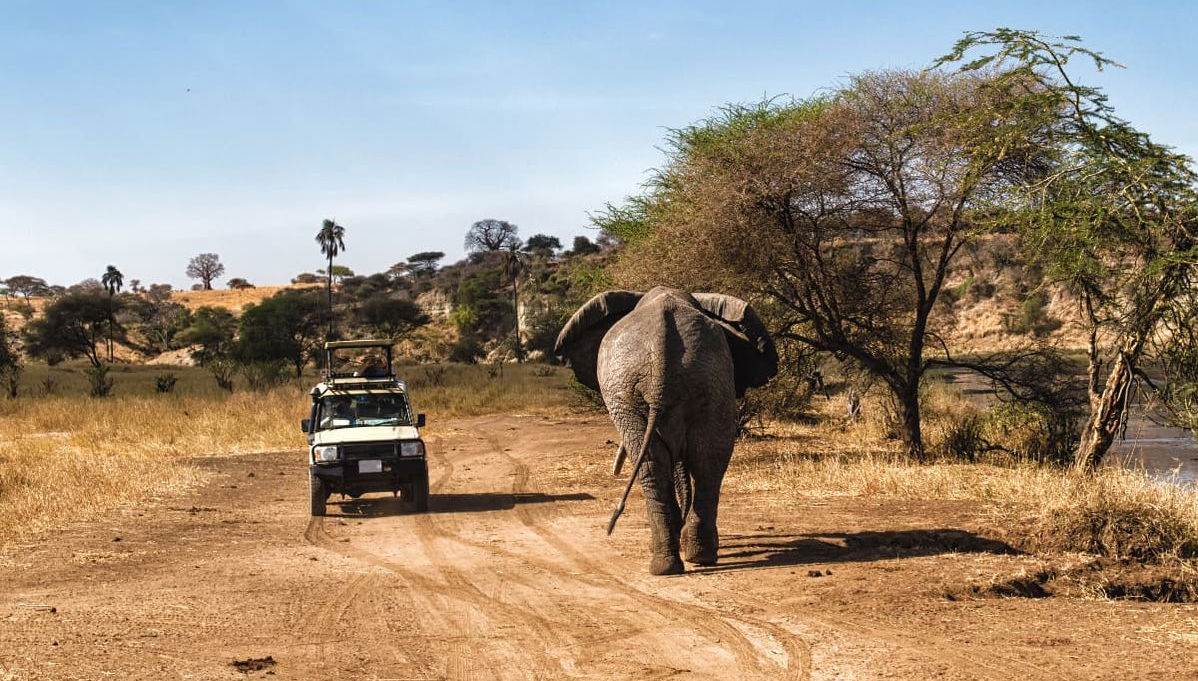 North Tanzania 6 Day Safari - Foto 1