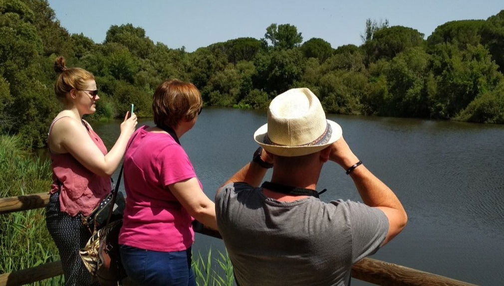 Balade en 4x4 dans le parc de Doñana depuis El Rocío - Photo 1