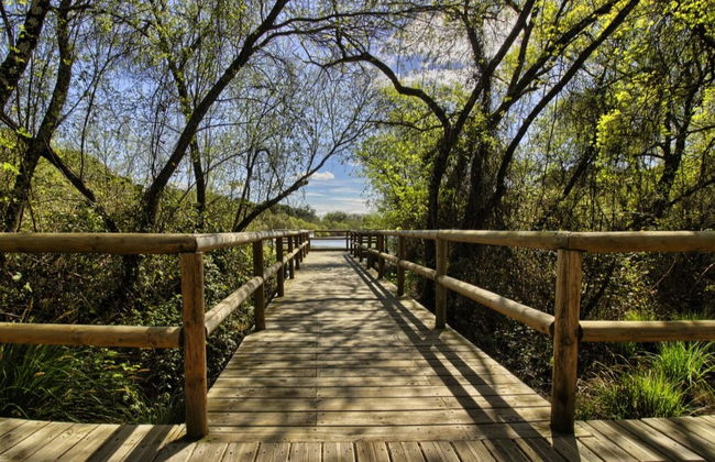 Tour en 4x4 por el Parque Nacional de Doñana - Foto 3