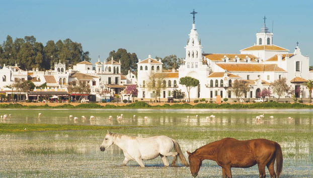 Tour en 4x4 por el Parque Nacional de Doñana - Foto 4