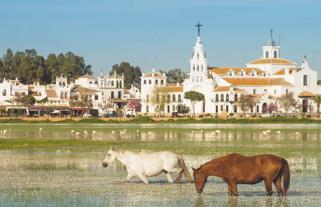 Tour en 4x4 por el Parque Nacional de Doñana - Foto 4