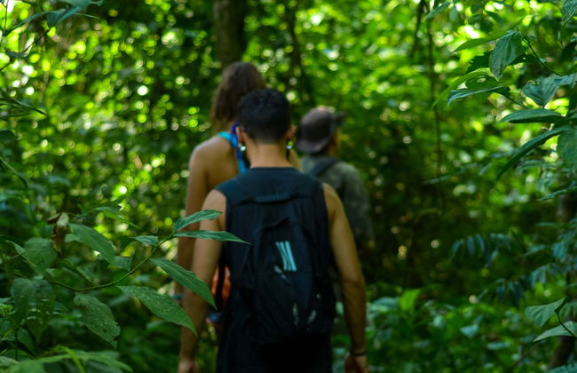 Iguazu River Kayaking or Paddle Surfing + Hiking - Foto 4