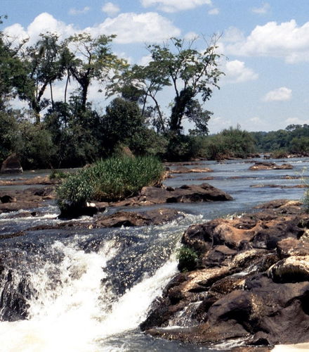 Foto de Tour por el lado brasileño de las Cataratas de Iguazú