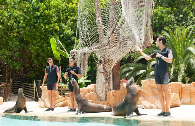 Billet pour le Jungle Park - Photo 5