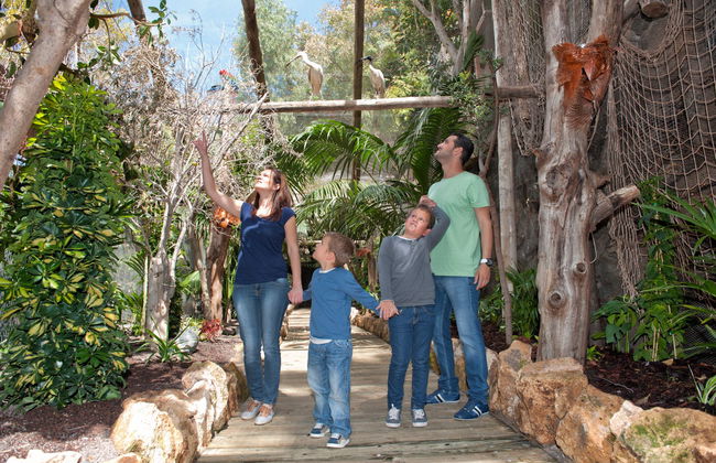 Billet pour le Jungle Park - Photo 4