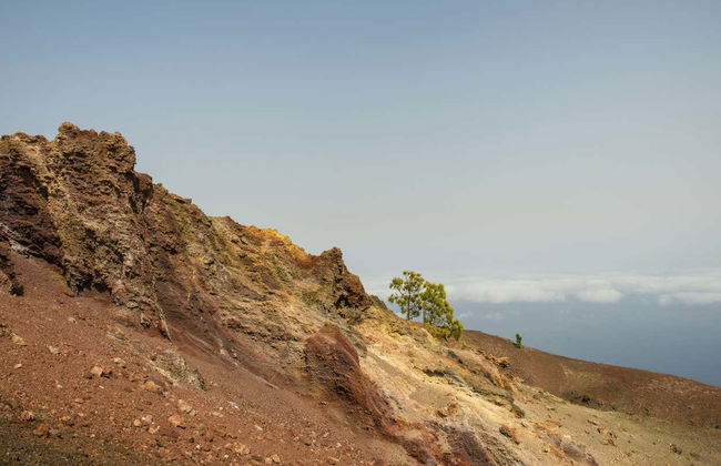Trekking ai vulcani di La Palma - Foto 7