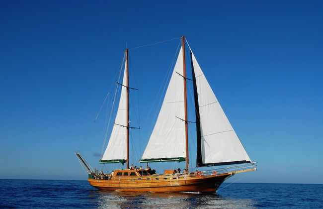 Southern Fuerteventura Schooner Cruise - Photo 3