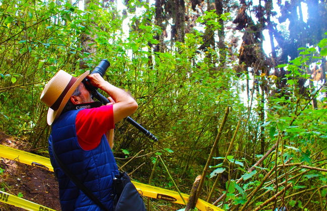 Excursión al Santuario de la Mariposa Monarca - Foto 3