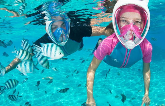 Avistamiento de delfines - Foto 3