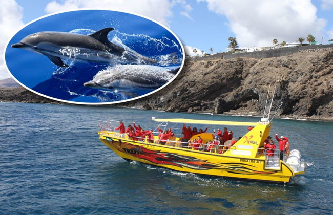 Avistamiento de delfines - Foto 1