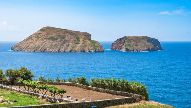 Passeio de lancha pelos ilhéus das Cabras - Foto 3