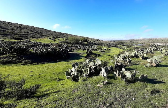 Ruta a pie por el Sendero del Capitán - Foto 6