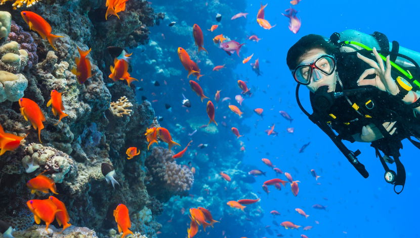 Bautismo de buceo en Gran Canaria - Foto 3