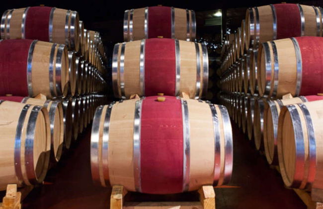Visita a las bodegas Marqués de Cáceres - Foto 3