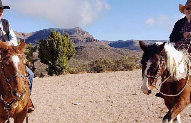 Paseo a caballo por el Bosque de Árboles de Josué - Foto 8