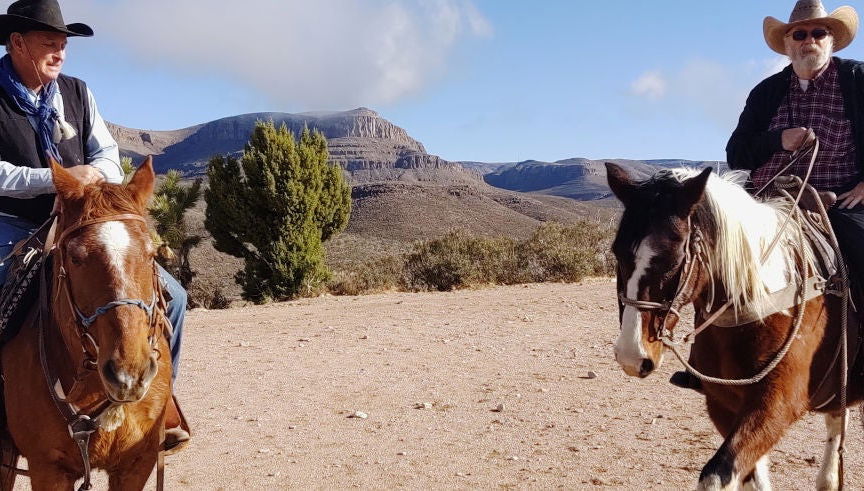 Joshua Tree Horseback Riding Tour