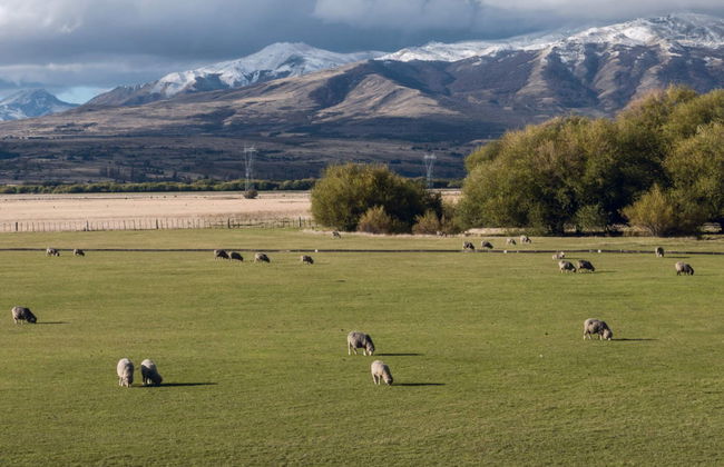 Excursión a las cascadas del Nant y Fall - Foto 6