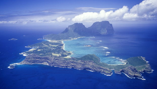 Snorkeling avec les requins des Galapagos sur l'île Lord Howe - Photo 4