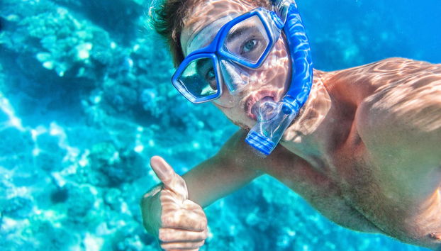 Snorkeling avec les requins des Galapagos sur l'île Lord Howe - Photo 5