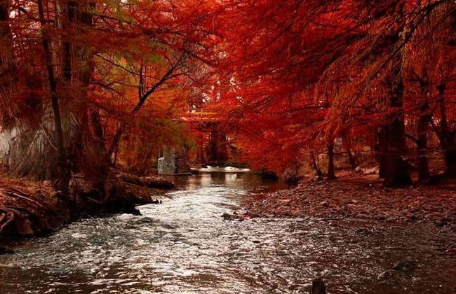 Excursión a la Sierra de Órganos y Nombre de Dios - Foto 6