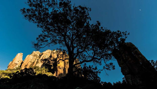 Excursión a la Sierra de Órganos y Nombre de Dios - Foto 5