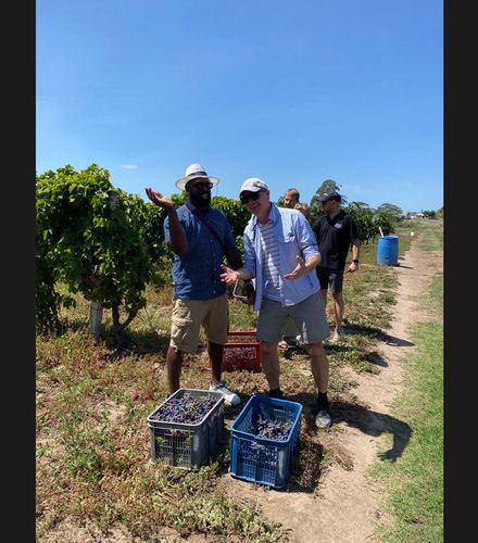 Foto de Visita a la bodega Familia Dardanelli