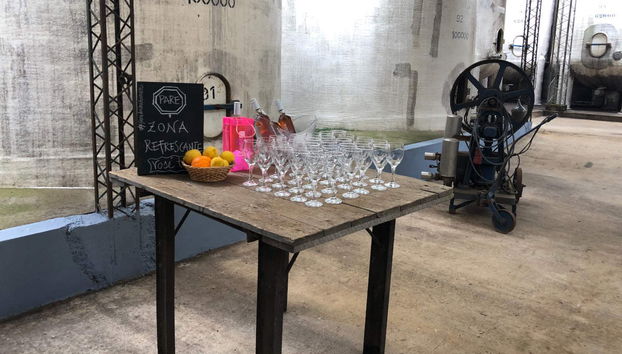 Visita a la bodega Familia Dardanelli - Foto 4