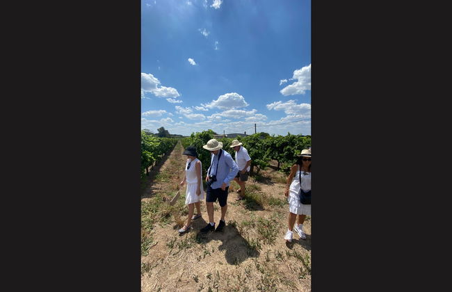 Visita a la bodega Familia Dardanelli - Foto 2