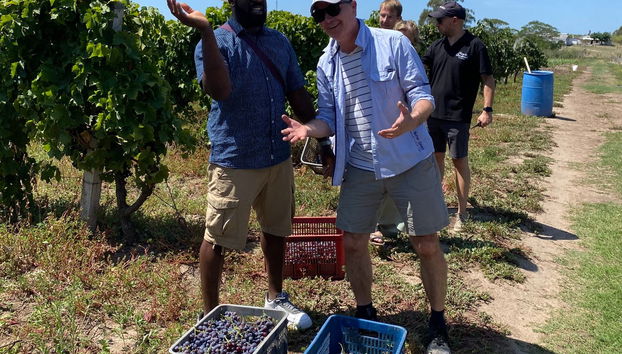 Visita a la bodega Familia Dardanelli - Foto 5