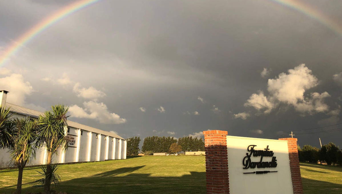 Visita a la bodega Familia Dardanelli - Foto 1