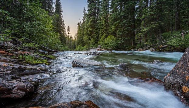 Rafting sur la rivière Clear Creek - Photo 3
