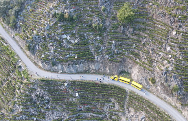 Tren turístico de la Ribeira Sacra - Foto 3