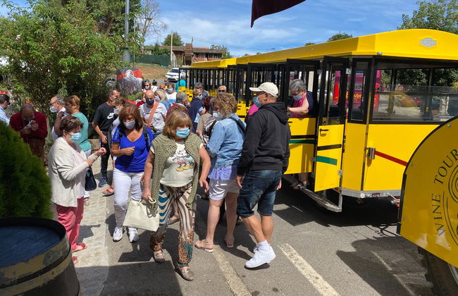Tren turístico de la Ribeira Sacra - Foto 2