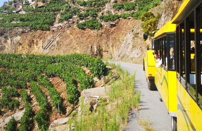 Tren turístico de la Ribeira Sacra - Foto 6