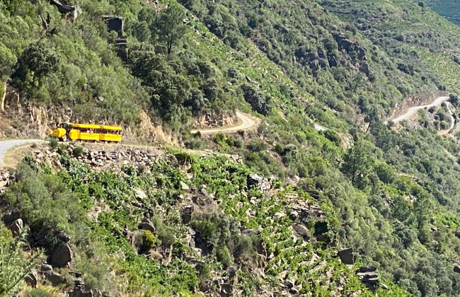 Tren turístico de la Ribeira Sacra - Foto 4