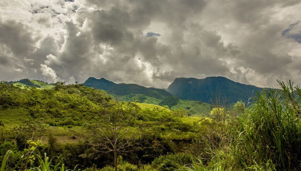 Excursión a Oxapampa y Parque Nacional Yanachaga - Foto 4